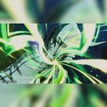 Bleach Rebirth Of Souls (PS5) - Image 4