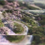 Forza Horizon 6 (XBSX) - Image 4